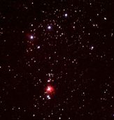Orion Nebula - Chris Brown